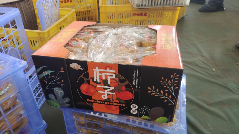 【只做出口】平乐新鲜脆柿子