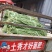 豇豆