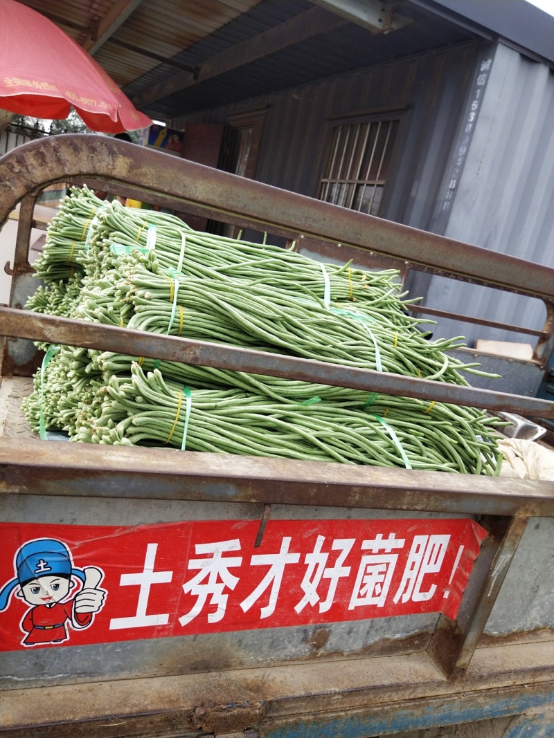豇豆