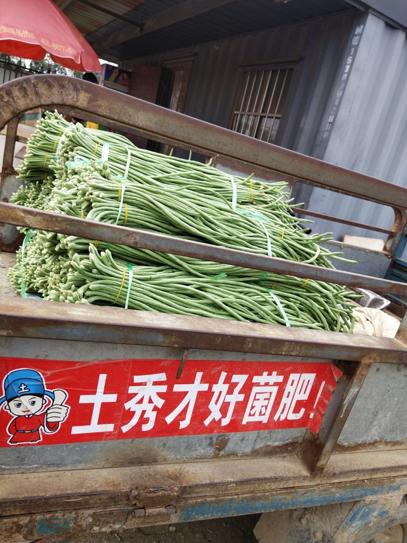 豇豆