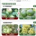 超艳咪鲜胺果树柑橘炭疽病蔬菜蒜灰霉病农药杀菌剂正品包邮