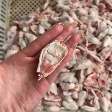 二级鸡脚筋