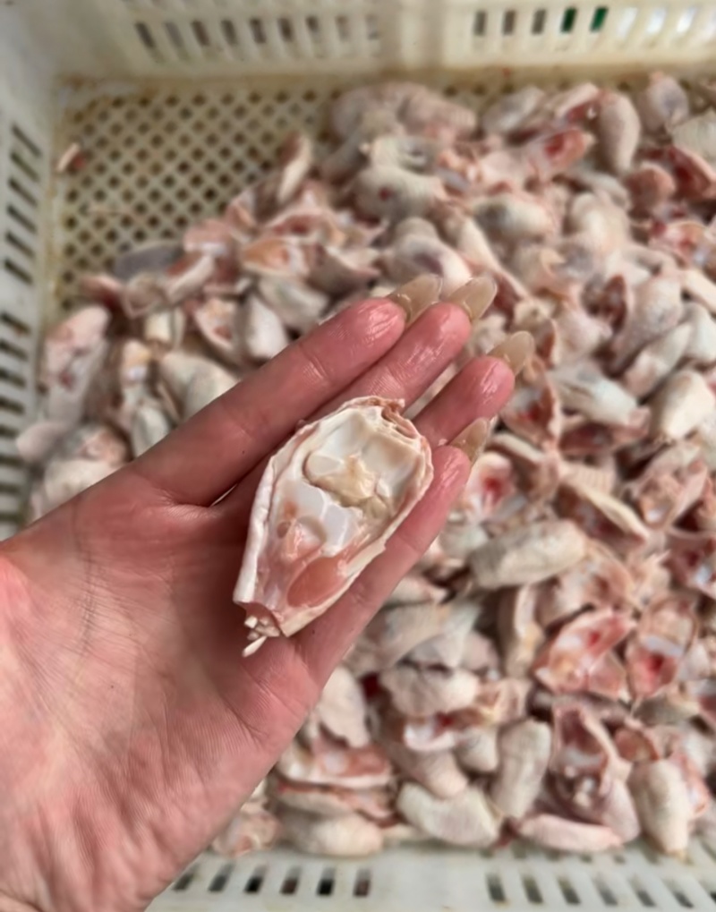 二级鸡脚筋