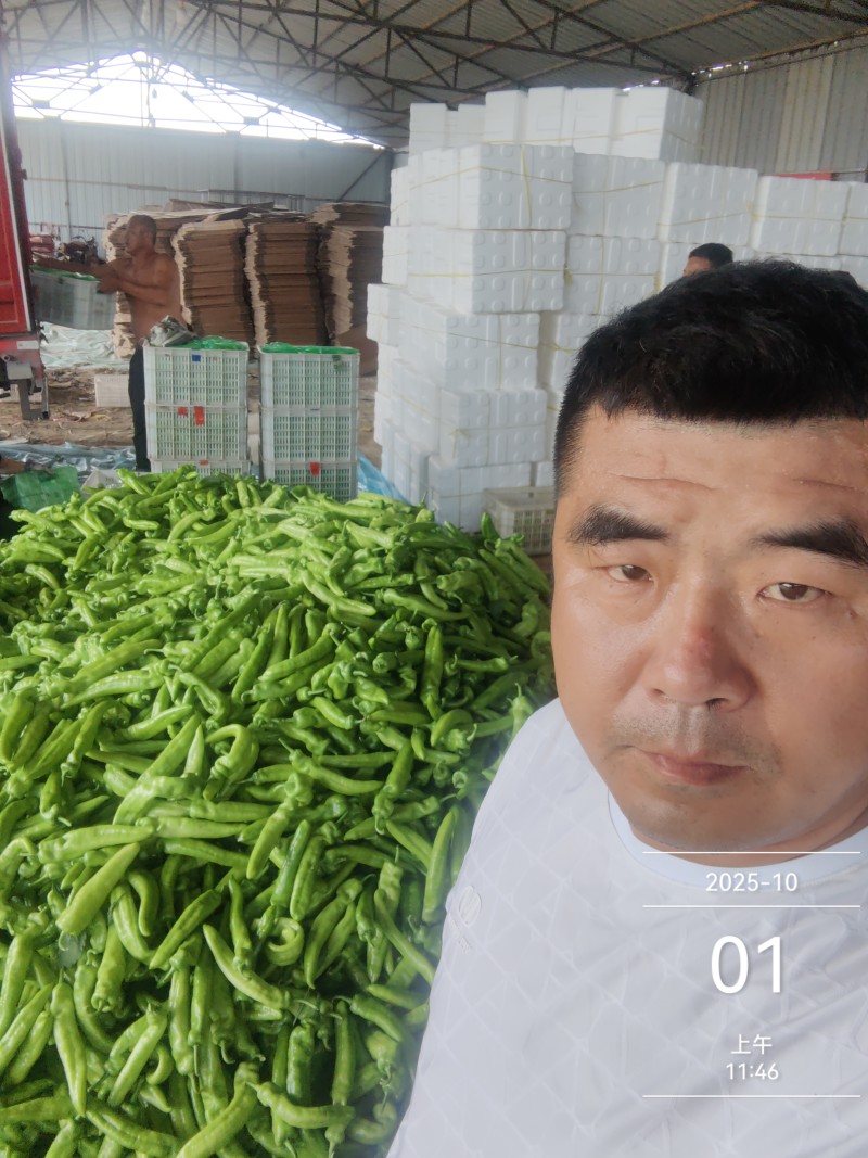 精品尖椒