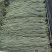 长豇豆