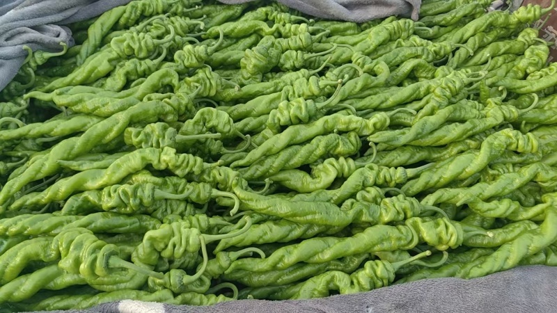 螺丝椒