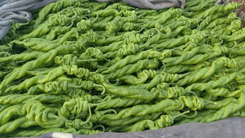 螺丝椒