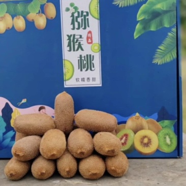 贵长猕猴桃，果园4万斤左右