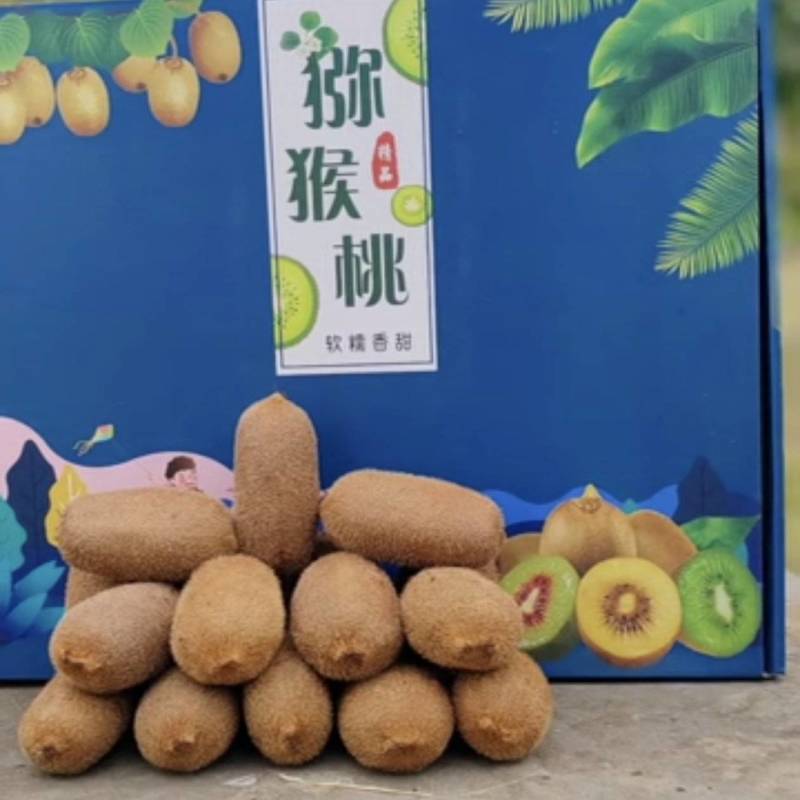 贵长猕猴桃，果园4万斤左右