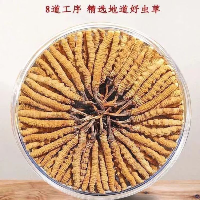 虫草头期干虫草1克5根泡酒新鲜甘孜野草非西藏