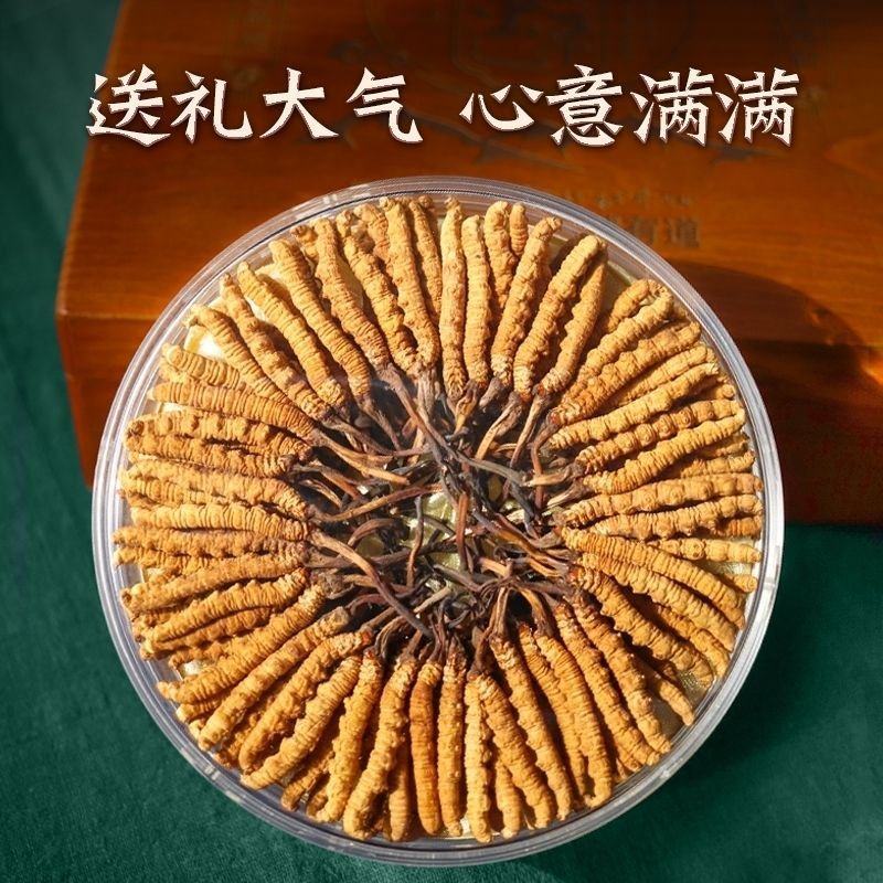 干货正宗冬虫夏草礼盒虫草王阿坝州滋补养生非那曲玉树冬虫夏