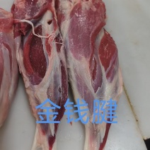 金钱腱