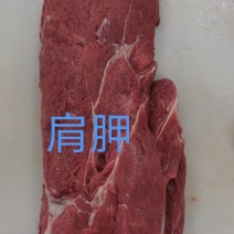肩胛