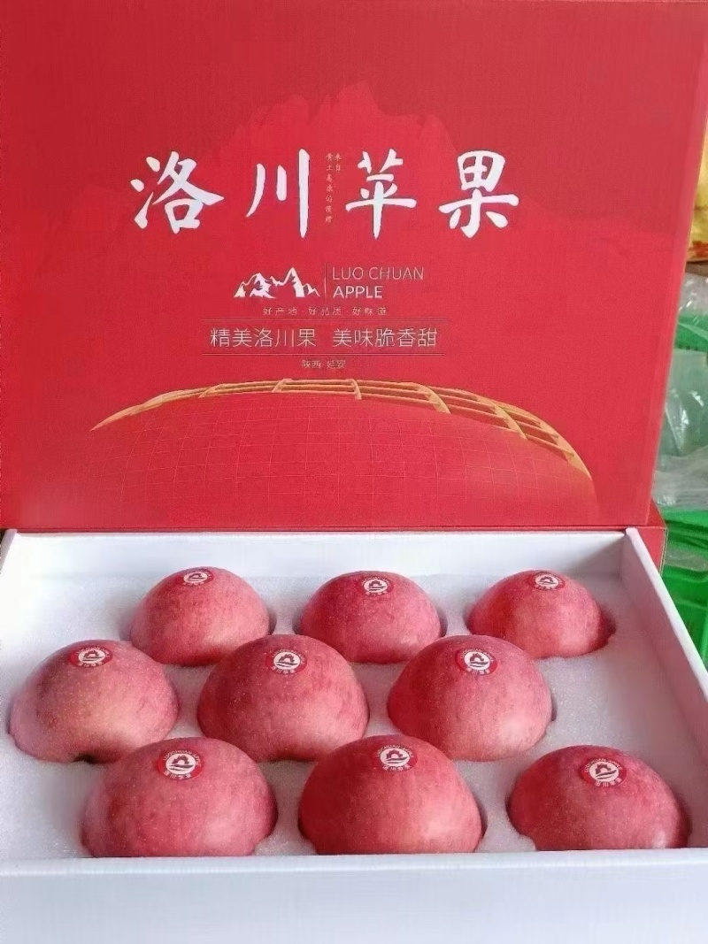 陕西洛川红富士