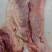 罗肌肉