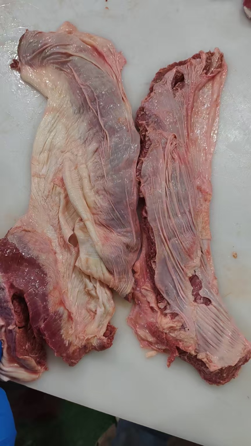 罗肌肉