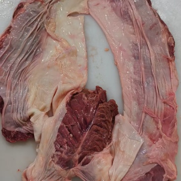 罗肌肉