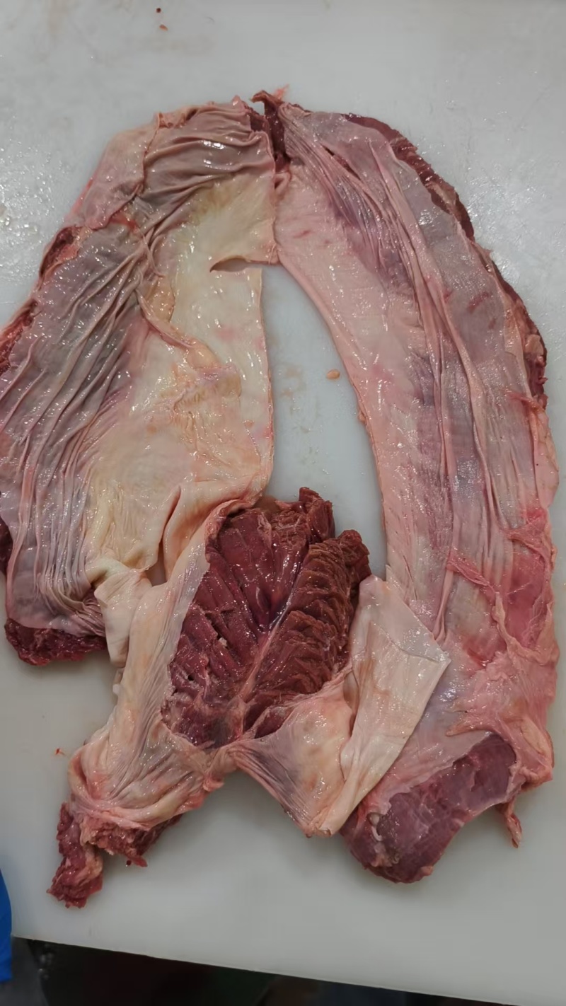 罗肌肉
