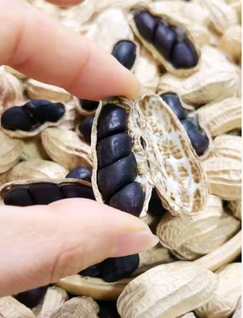 自家种的云南带壳黑花生