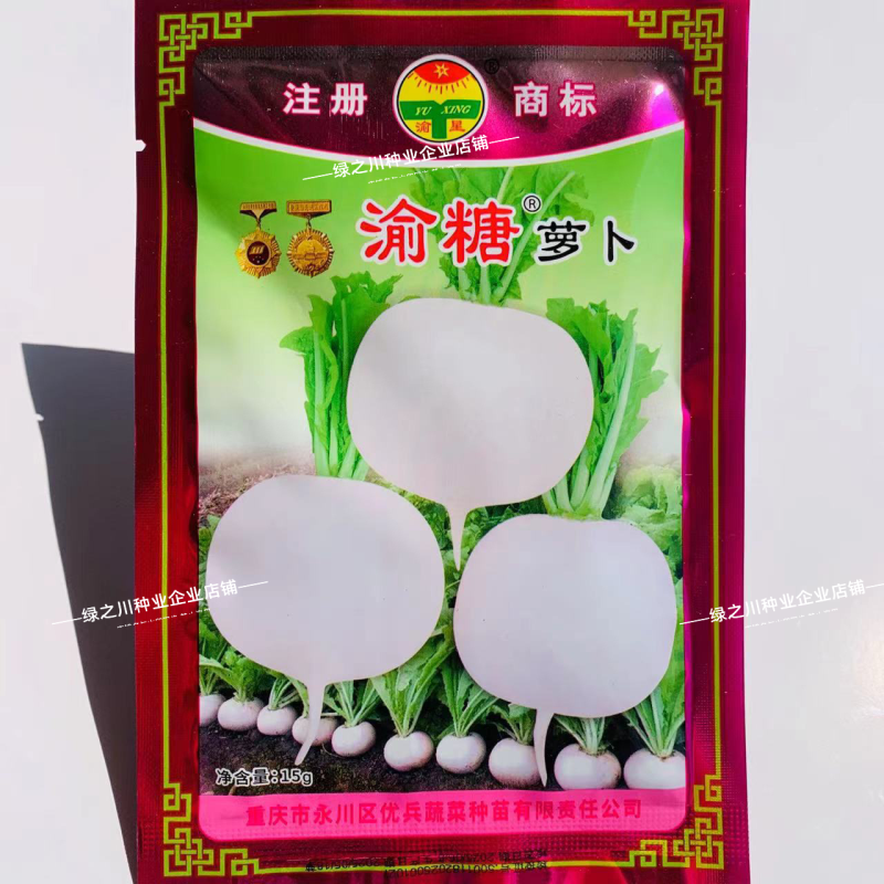 渝星甜罐白萝卜种子甜脆萝卜种籽春不老萝卜种子高产抗病秋季