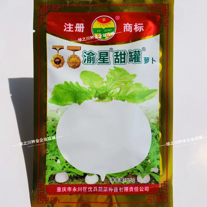 渝星甜罐萝卜种子味甜化渣春不老白萝卜种籽秋季耐寒萝卜