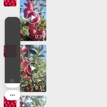 鸡心苹果
