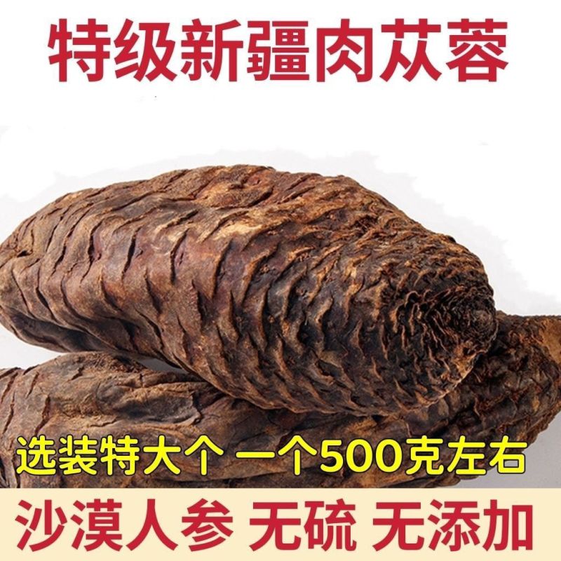 新疆肉苁蓉精选野生甄选正品泡酒整根切片磨粉肉丛容泡水大芸