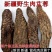 新疆肉苁蓉精选野生甄选正品泡酒整根切片磨粉肉丛容泡水大芸