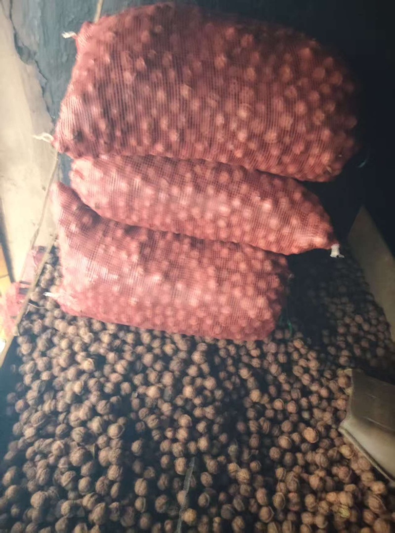 大理核桃
