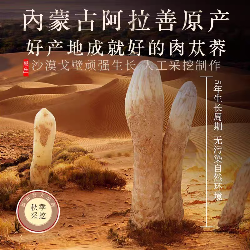 阿拉善肉苁蓉正宗野生整根切片鲜干片内蒙古大芸泡茶水泡酒料