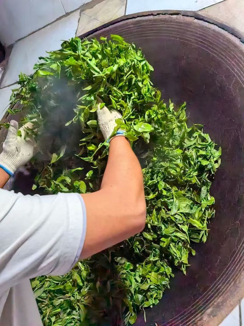 古树茶