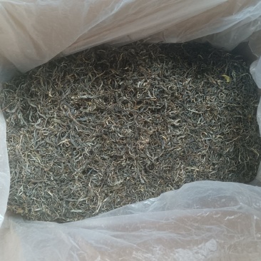 古树茶
