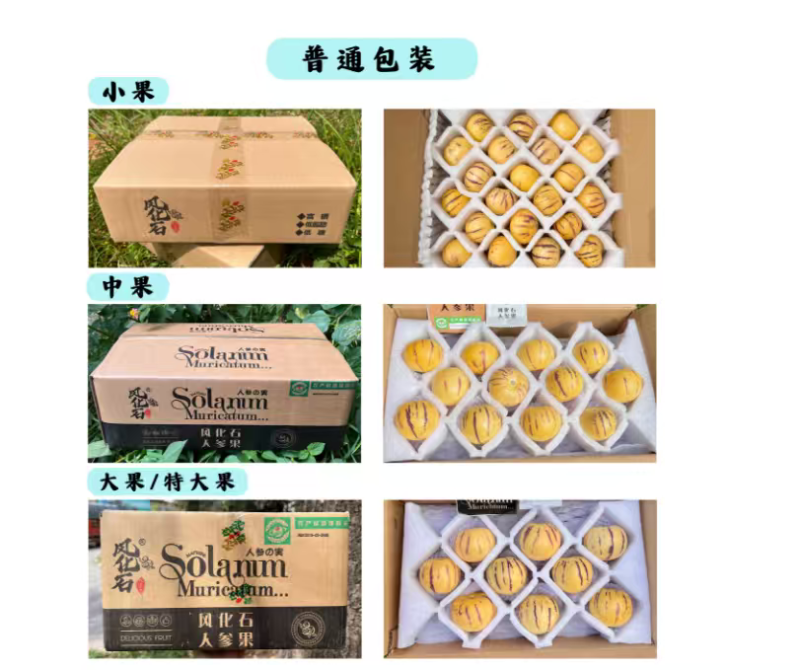 云南树上熟风化石人参果圆果黄肉产地现摘现发顺丰包邮