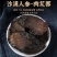 阿拉善肉苁蓉正宗野生整根切片鲜干片内蒙古大芸泡茶水泡酒料