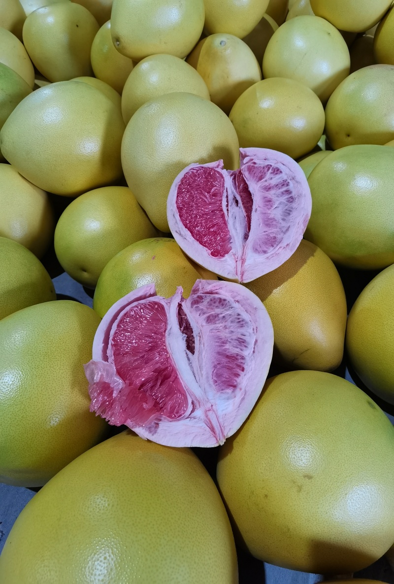 福建平和红心蜜柚，产地直供，皮薄多汁，水分充足。