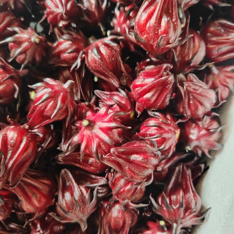 红桃K洛神花批发