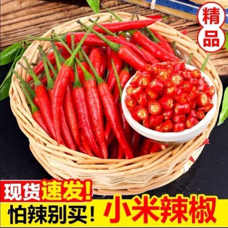 精品小米红尖椒今日特价质量好品质有保障适合电超市场需要联