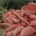 河南省确山县丘陵地西瓜红薯
