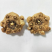 彩色马蹄莲种球荷兰大球带芽室内盆栽球根花卉四季种易活种子