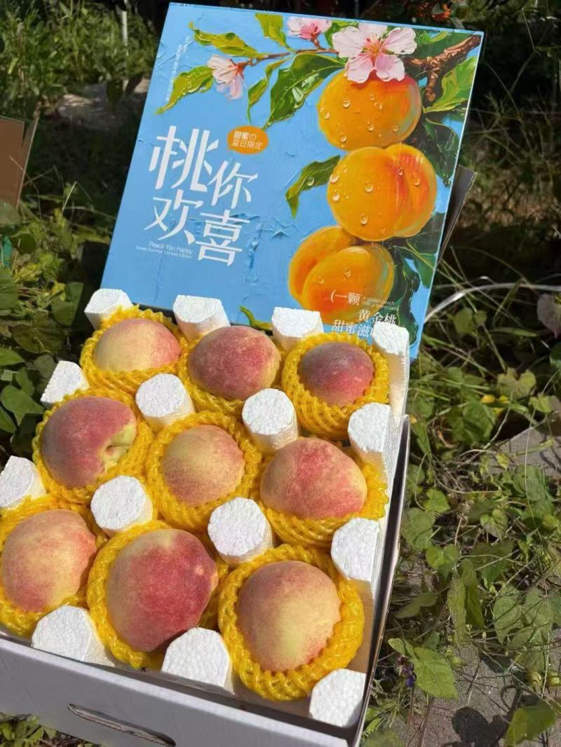 金秋红蜜、毛桃山东毛桃、冬桃大白桃迎霜基地大量现货供应。
