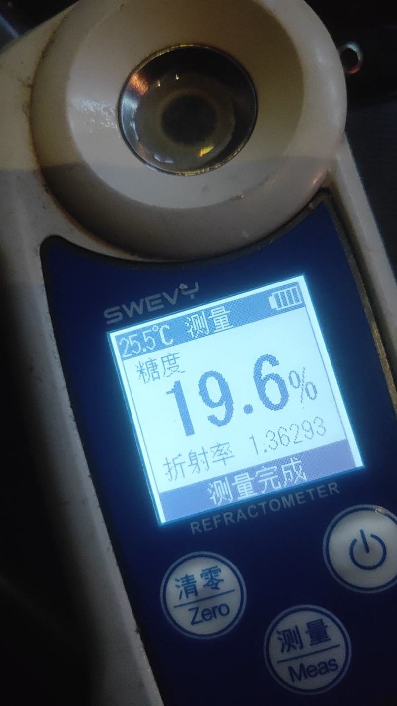 金秋红蜜、毛桃山东毛桃、冬桃大白桃迎霜基地大量现货供应。