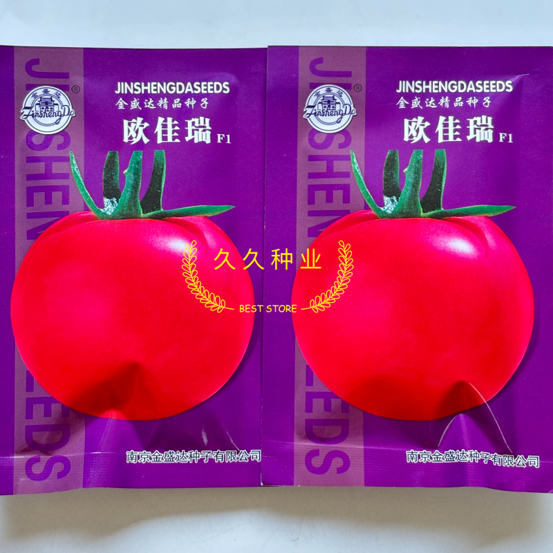 欧佳瑞粉红番茄种子中早熟无限生长大果西红柿种籽硬度高