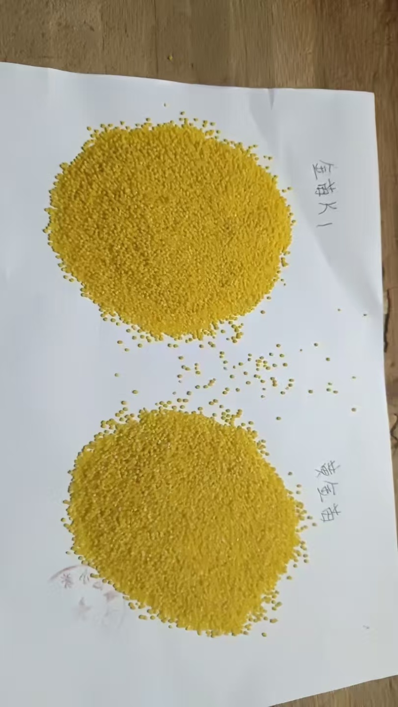 黄金苗小米/金苗K1/赤峰黄小米/2025年新小米上市中