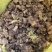 红花酢浆草多年生种根植物红花草工程道路小区别墅绿化用苗