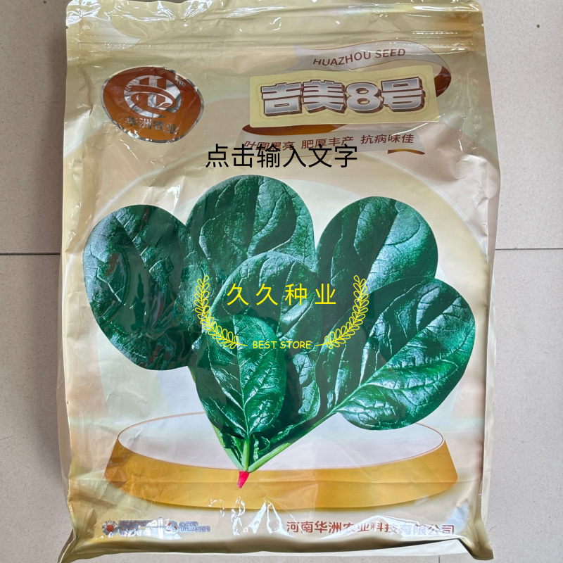 吉美8号趴地菠菜种子黑圆叶菠菜种籽生长速度快耐寒