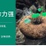 山乌龟爬藤植物盆栽室内红藤圆叶金不换阳台花园多肉块根花卉