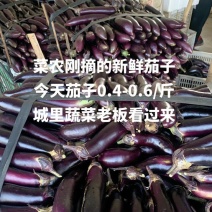 茄子