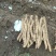 四川雅安宝兴糯米山药电话***********