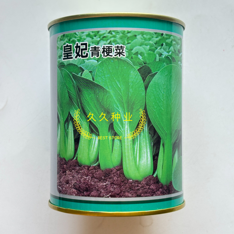 皇妃青梗菜种子速生小青菜种子蔬菜种子阳台耐热油绿青菜