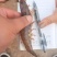 绥中新鲜大虾青虾鲜活超大对虾海鲜水产，每日现捕